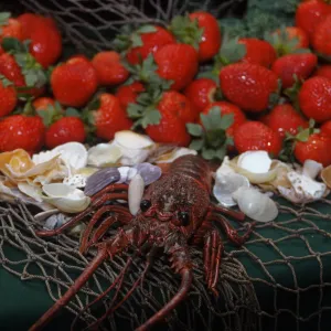 'Flora of Santa Cruz Island' book signing, strawberries, seashells and lobster on the buffet table