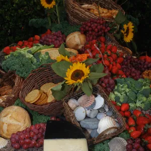 'Flora of Santa Cruz Island' book signing, buffet table (food display)