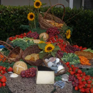 'Flora of Santa Cruz Island' book signing, buffet table (food display)