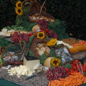 'Flora of Santa Cruz Island' book signing, buffet table (food display)