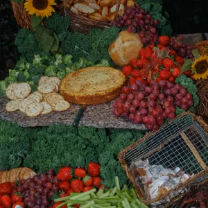 'Flora of Santa Cruz Island' book signing, buffet table (food display)