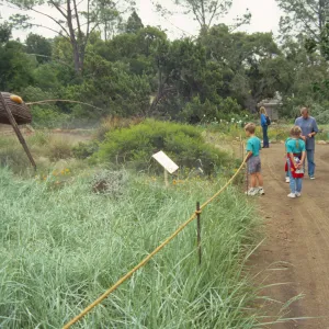 School Children's Tours and Classes, Docent tour, Big Bugs Ant in the Meadow
