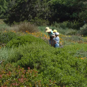 School Children's Tours and Classes