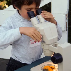 School Children's Tours and Classes