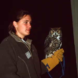 Owl-o-ween