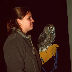 Owl-o-ween