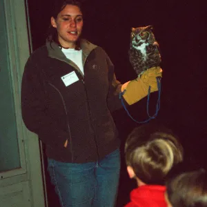 Owl-o-ween