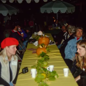 Owl-o-ween