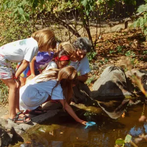 children at pond