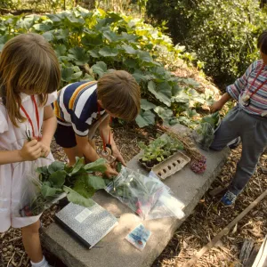 children gardening