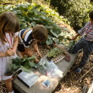 children gardening