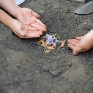 children gardening