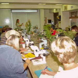 Adult Classes