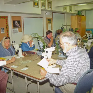 Adult Classes
