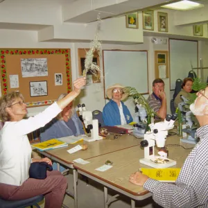 Adult Classes