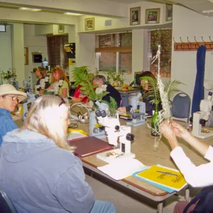Adult Classes