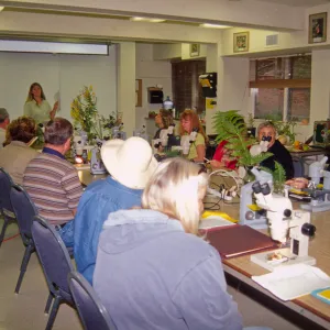 Adult Classes