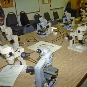 Adult Classes