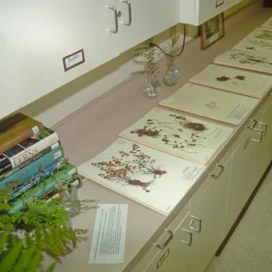 Adult Classes