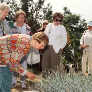 Docent Tours