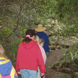 Docent Tours