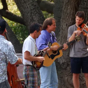 Celebration of Trees 1996