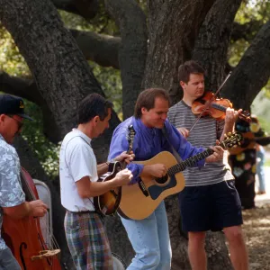 Celebration of Trees 1996