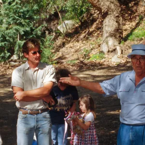 Celebration of Trees 1996