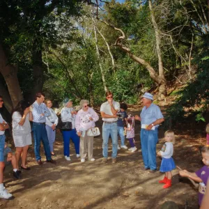 Celebration of Trees 1996