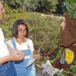 Celebration of Trees 1996
