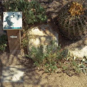 Nature Loves a Detective, marker