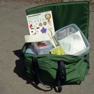 Nature Kits and Displays
