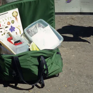 Nature Kits and Displays