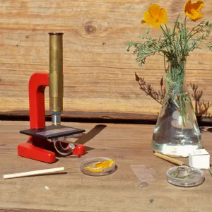 Nature Kits and Displays