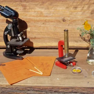 Nature Kits and Displays