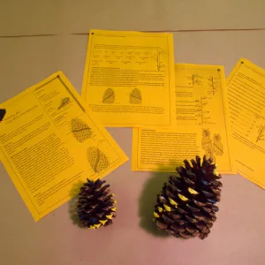 Nature Kits and Displays