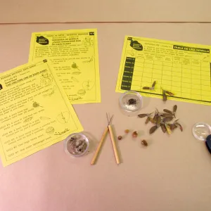 Nature Kits and Displays
