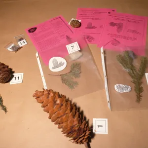 Nature Kits and Displays