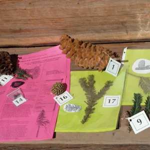 Nature Kits and Displays