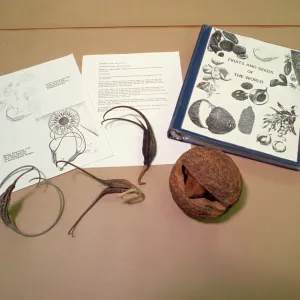 Nature Kits and Displays