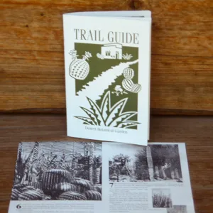 Desert Botanical Garden Trail Guide