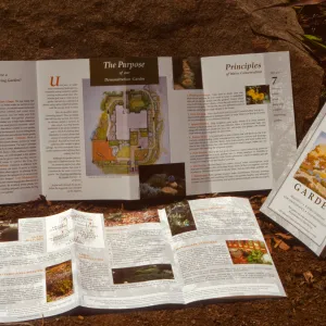 Home Demonstration Garden Pamphlet
