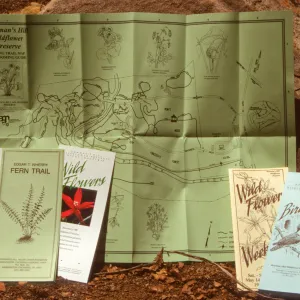 Bowman's Hill Wildflower Preserve Publications