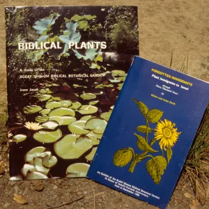 Rodef Shalom Biblical Botanical Garden publications