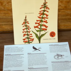 Tohono Chul Park publications