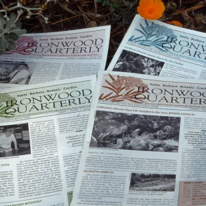 SBBG Ironwood Quarterly Newsletters