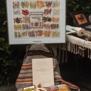 Natural Dyes Display, Fiber Arts Exhibit