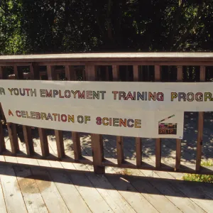 Youth Employment Training Program