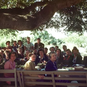 School of Natural Sciences Tree Course