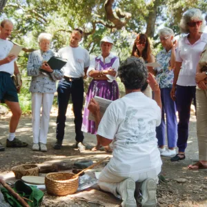 Golden Harvest Tour, Avis Keedy